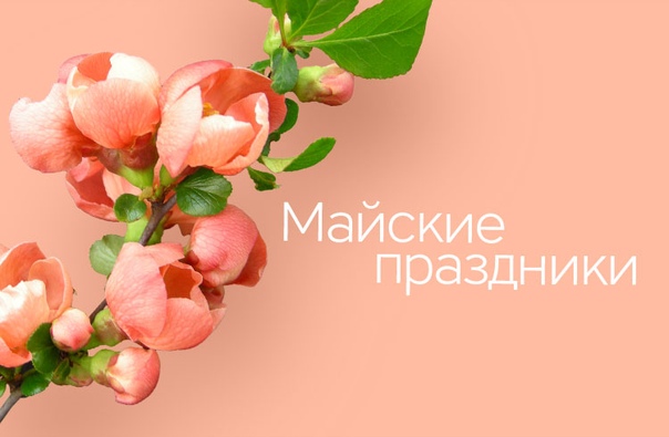 График работы автоцентра на майские праздники
